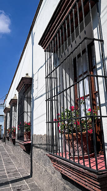 istock Colonial windows with flowers on a sunny day 2228853677