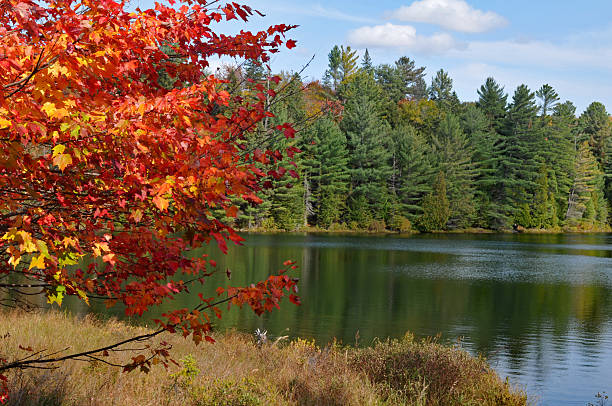 istock Found Lake in Ontario's Algonquin Provincial Park 2228858323