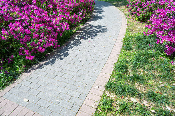 Curved footpath through the ornamental garden