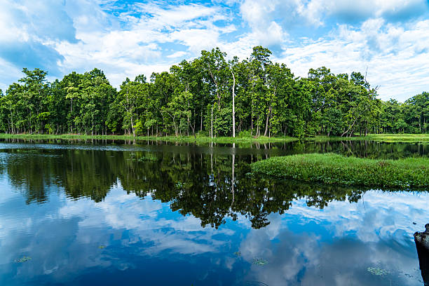 This View of the Lake and the Woods is located in the Shingle Creek Preserve in Kissimmee Florida. Shingle Creek is recognized as the Headwaters of the Everglades in Florida. This is Shingle Creek Preserve just over two miles north from where it feeds into Lake Tohopekaliga in Kissimmee, Florida where Birders, Bass Fishermen, Kayakers, and Tourists enjoy the ecotourism opportunities that can be found these on a year-round basis.