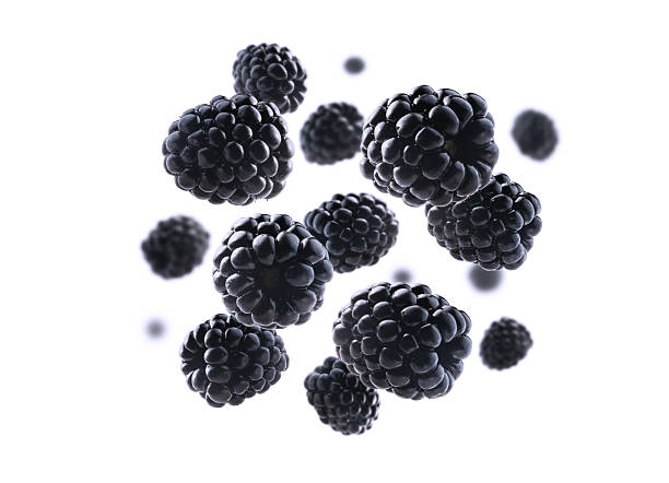 istock Ripe blackberries levitate on a white background 2228868119