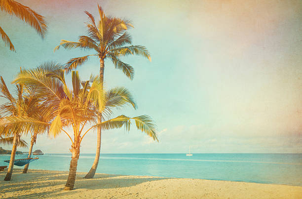 istock Coconut tree on the sky background-  - retro styled picture 2228871785