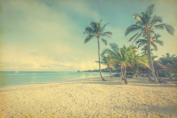 istock Coconut tree on the sky background-  - retro styled picture 2228871786