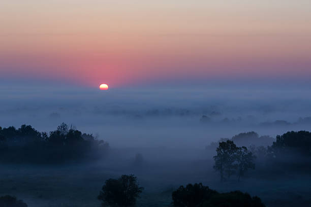 Free picture: Foggy landscape in the early morning hours, dawn in the ...