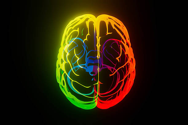 istock A colorful brain with a red and green section 2228875707
