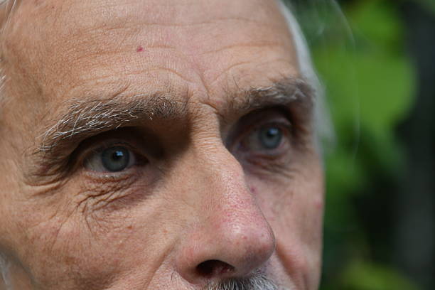 old man's face with gray hair