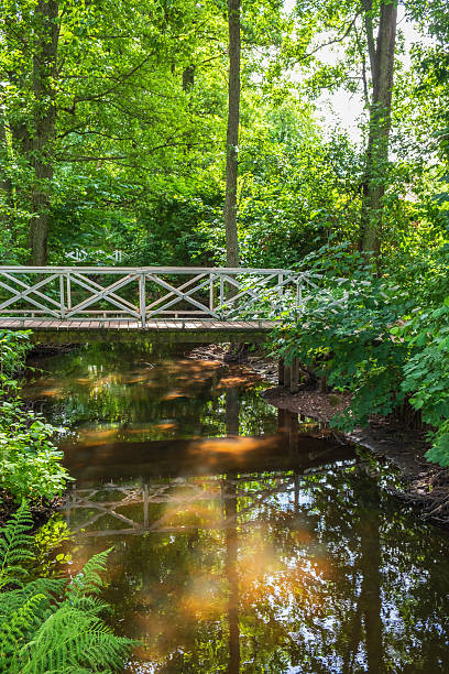 istock Idyllic old wooden bridge over a river in a park 2228883062