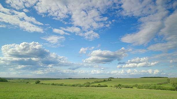 istock A Beautiful Serene Landscape Displaying Clear Blue Skies Alongside Fluffy White Clouds 2228884242