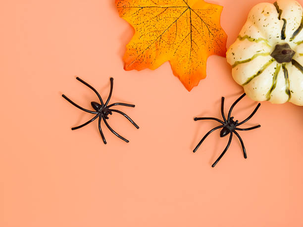 istock Various Halloween decorations, including pumpkins, spiders, leaves on an orange background. 2228886856