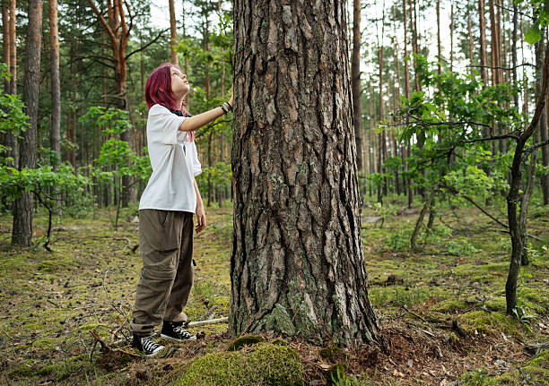 istock Young woman touching a large tree in a forest, enjoying nature and tranquility 2228891174
