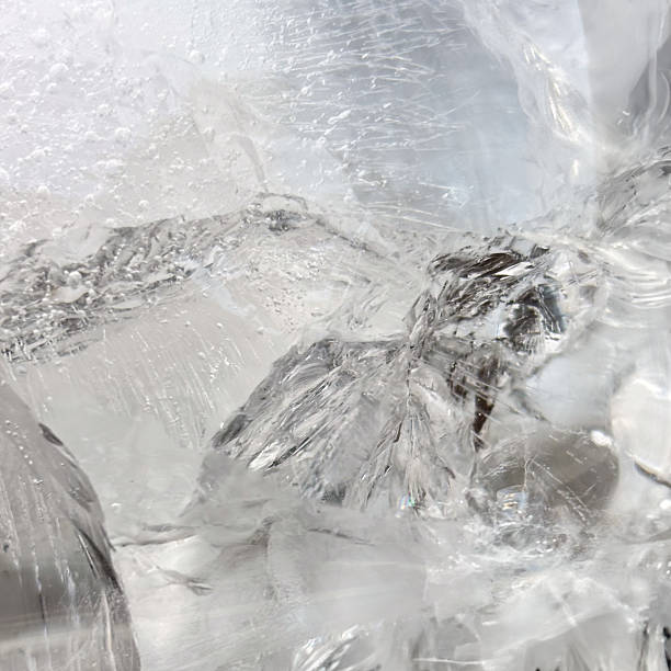Detailed Texture of Ice Crystals and Bubbles