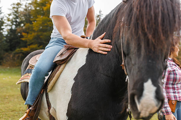 istock Man rides a Pinto Horse in Pasture 2228902522