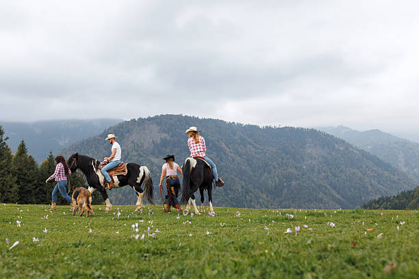 istock People and horses in green field 2228902948