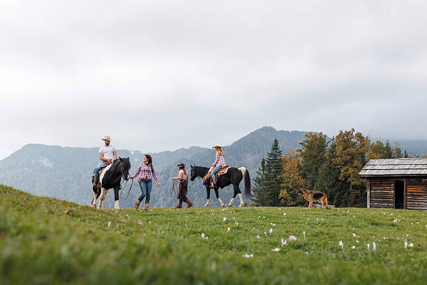 istock Riding horses in the Mountains 2228903618