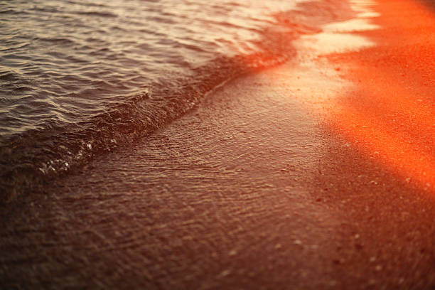 Beautiful sea background at sunset