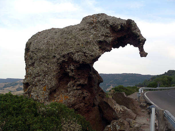 istock Natural rock formation shaped like an elephant's head in Sardinia 2228905975