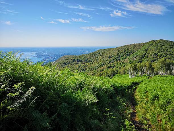 istock View from the mountain on Lake Maggiore (province of Novara) 2228910828