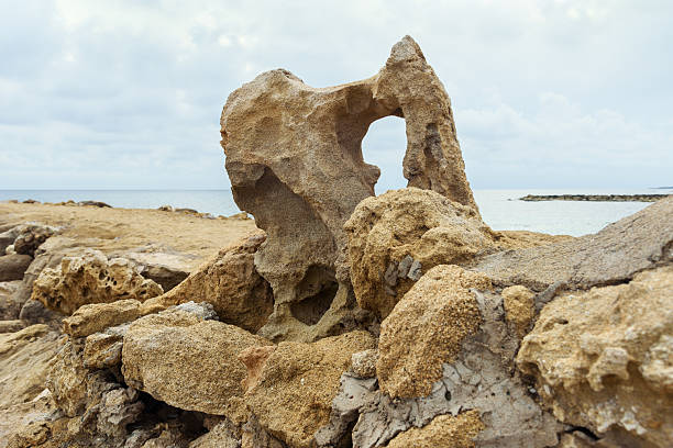 The coast of Mediterranean sea with a stone wall.