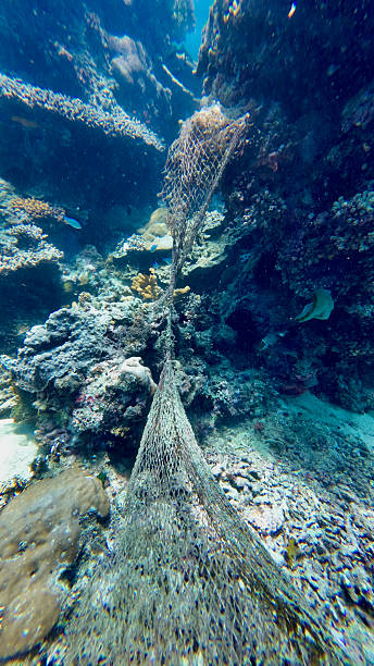 istock Old fishing net on a coral reef. 2228918426