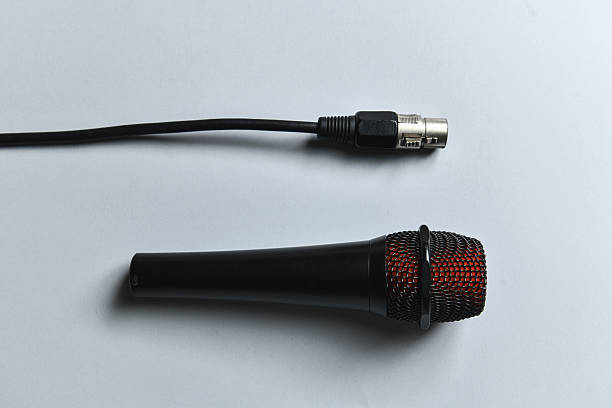 istock Microphone And Female XLR Connector Displayed Side By Side On Light Gray Studio Background 2228920877