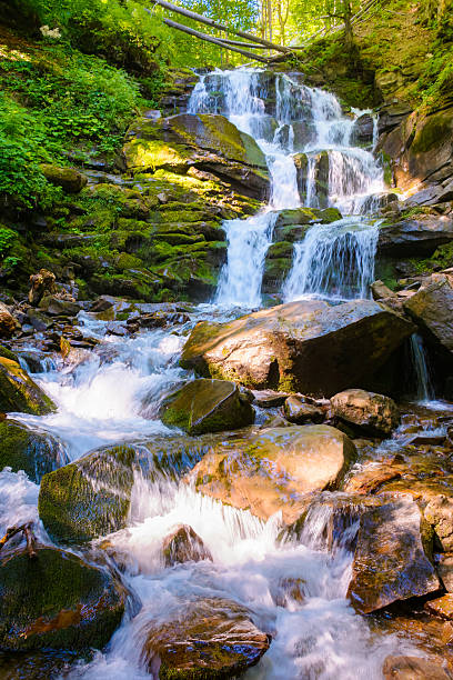 waterfall in the forest on a summer morning. rocks with moss in dappled light. refreshing nature scenery