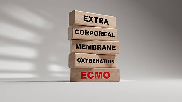 istock Concept words ECMO, Extra Corporeal Membrane Oxygenation on cubes and blocks. wooden blocks. Copy space.3D rendering on white background. 2228921947