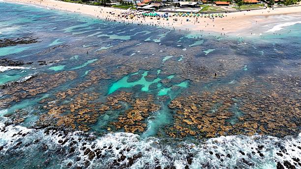 istock Cupe Beach At Port Of Chickens In Pernambuco Brazil. 2228922641