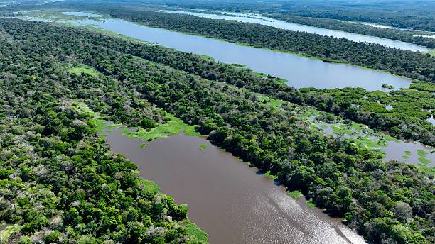 istock Stunning landscape of Amazon Forest at Amazonas State Brazil. 2228922831