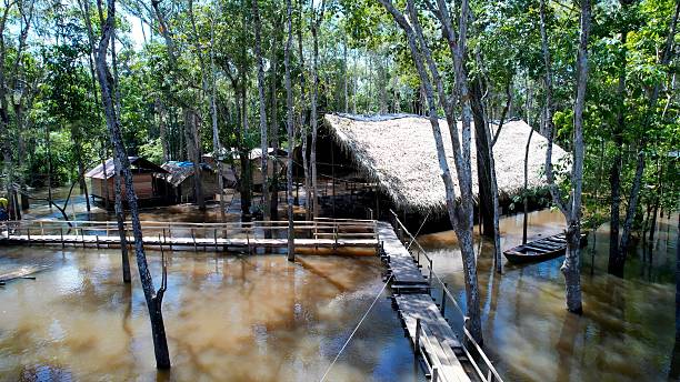 istock Indigenous native village at Amazon Forest Manaus Brazil. 2228923079