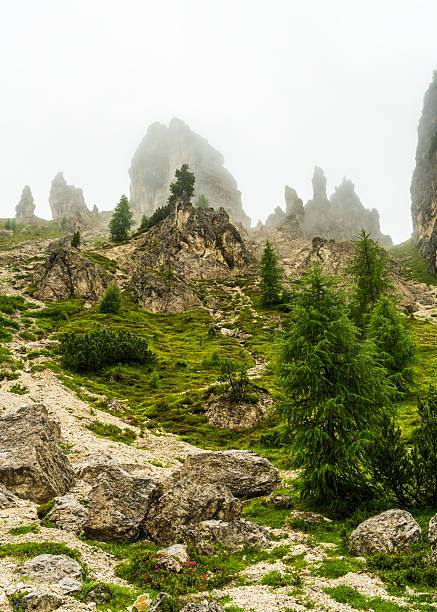 Misty Dolomites with rugged peaks and rainy clouds. Atmospheric mountain landscape with dramatic rock formations. Great for nature, exploration, wilderness themes.