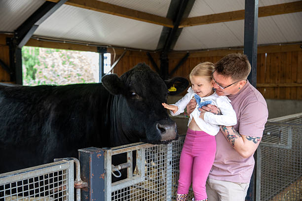 istock Showing My Daughter The Cows 2228927131