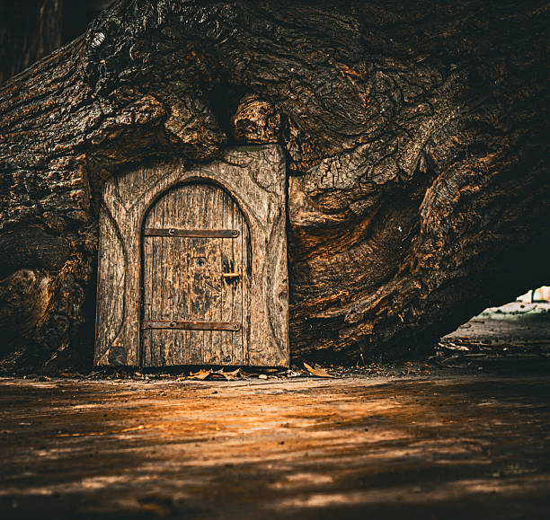 Enchanted forest scene featuring an old, weathered wooden door embedded in the trunk of a massive tree. Evokes a sense of mystery, fantasy, and fairytale wonder.