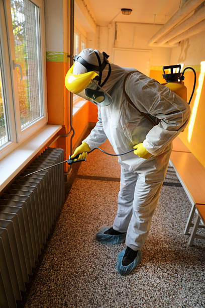 istock Public Safety Action with Senior Disinfection Professional 2228928593