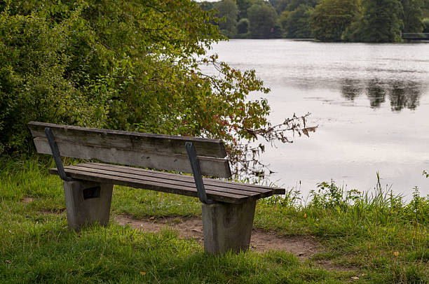 istock Empty bench overlooking serene lake on cloudy day 2228929711