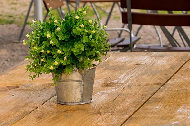 Small green plant in a metal pot sitting on a wooden table in an outdoor setting, creating a cozy and rustic atmosphere