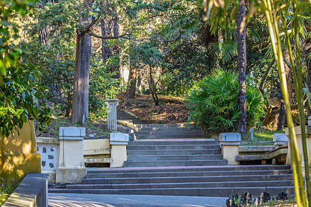 istock Empty stairs in a tropical park 2228930824