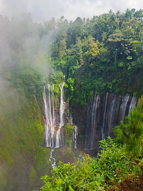istock Majestic Tumpak Sewu Waterfall in East Java, Indonesia. A stunning natural wonder with multiple cascades and lush green surroundings. Perfect for travel and nature stock photos. 2228935311