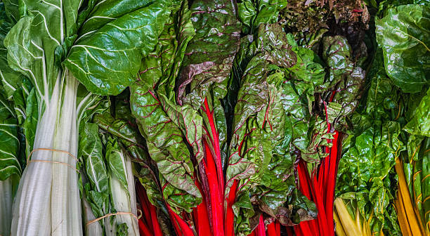 istock Vibrant Swiss Chard with Colorful Stems. High-Resolution Vegetable Image Ideal for Digital Marketing, Wallpapers, Social Media, and Creative Projects 2228938570