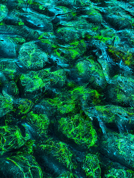 Enchanting Green and Blue Stones Under Crystal Clear Water. High-Resolution Abstract Background.