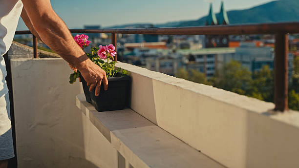 Man Carefully Placing a Flower Pot on a Balcony Railing, Enhancing Urban Surroundings with Vibrant Greenery while Enjoying a Stunning Cityscape View. Creating a Personal Oasis in the City