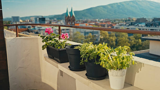 Potted Plants, Including Geraniums and Herbs, are Arranged on a Balcony Railing, Providing a Touch of Nature Against the Backdrop of a Cityscape with Mountains in the Distance
