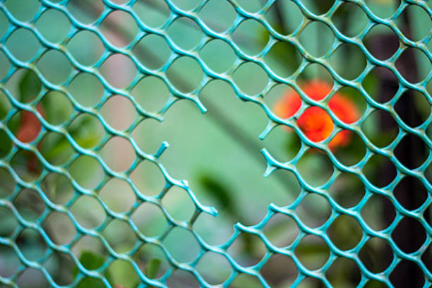 Red flowers under a plastic fence, tree leaves, and a greenery background blur