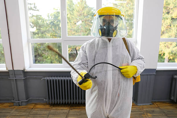 istock Safety Protocols in Action at School Classroom 2228941598