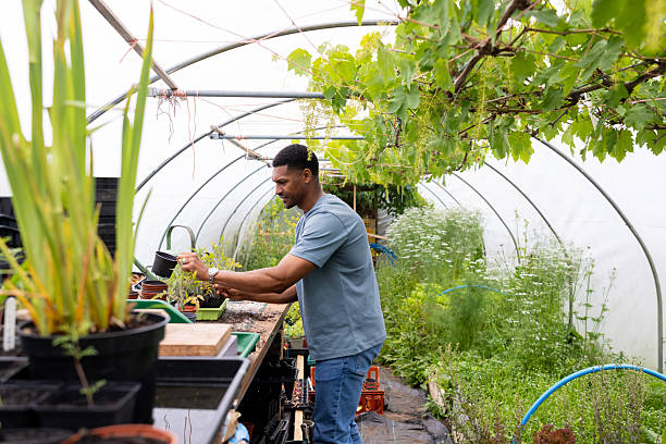 istock Community Farm Volunteer Planting Plants 2228943258