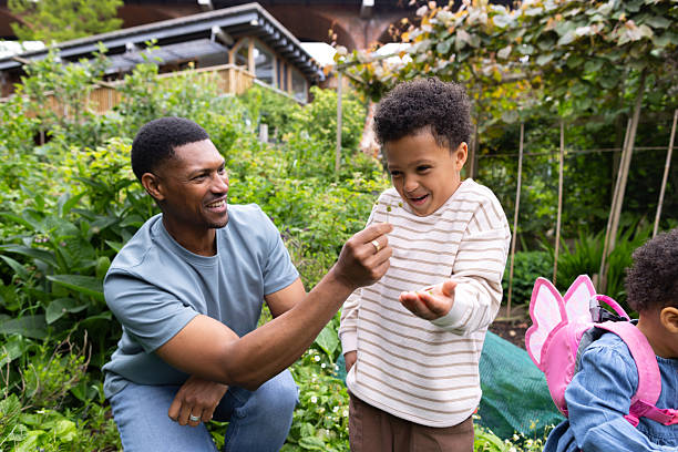 A medium shot of a family gardening together in a lush, green outdoor garden space. The parents and their two young children are picking strawberries from the garden, enjoying quality time in nature. The garden is part of a community farm in Newcastle upon Tyne. The father is tickling his son with part of a plant.Videos are available similar to this scenario.