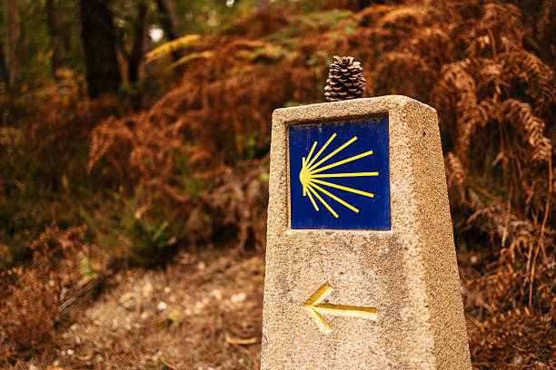 Stone marker with yellow scallop shell and arrow. The Camino de Santiago route through the forest, showing 82 kilometers left to Santiago de Compostela.