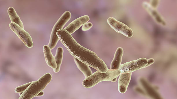 istock Bilophila wadsworthia bacteria, illustration 2228945604