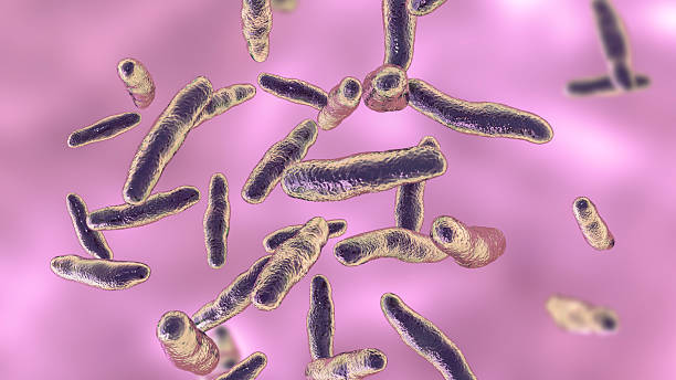 istock Bilophila wadsworthia bacteria, illustration 2228945622