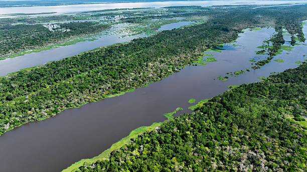 istock Stunning landscape of Amazon Forest at Amazonas State Brazil. 2228949027