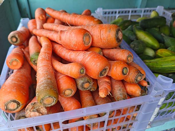 The carrot mash in this container is sold still very fresh